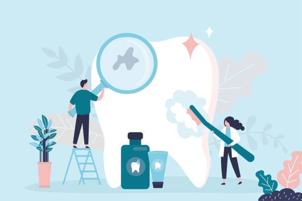 Trusted Winter Park, FL Holistic Dental Care Services Experts